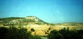 Troodos Aufforstung