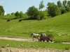 Podolische Platte